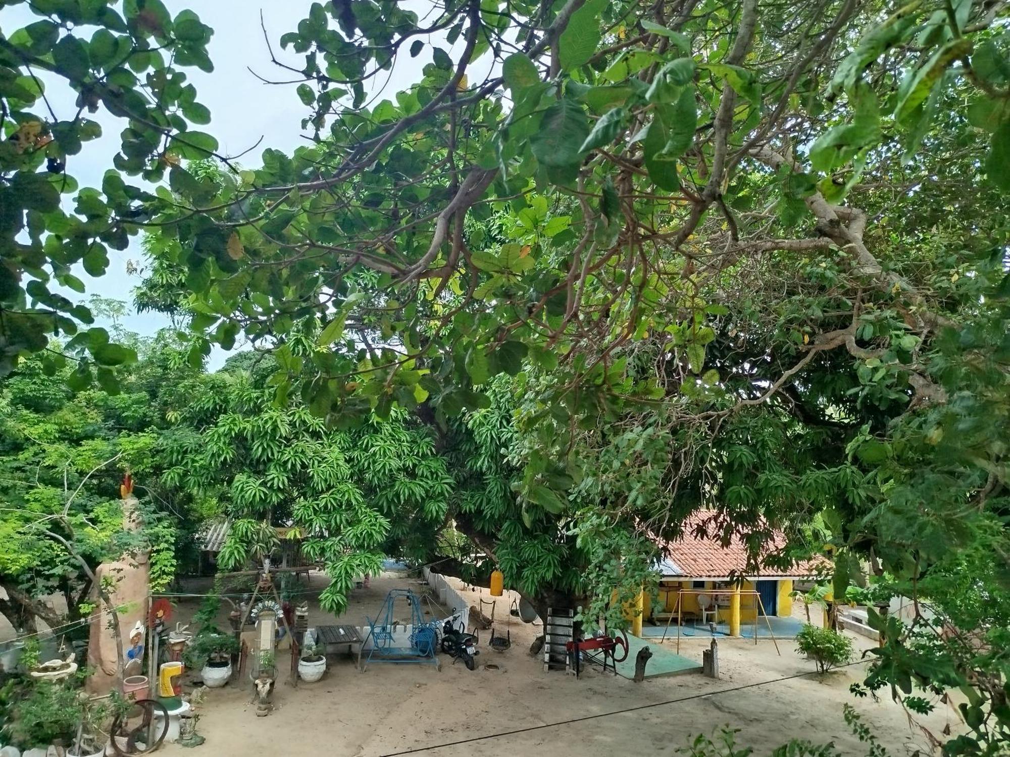 Hospedaria Camarinha Fulni-O Eusebio Bagian luar foto